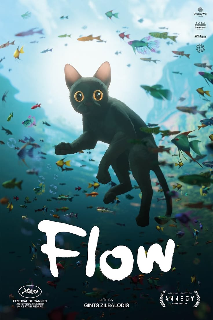 Pelicula